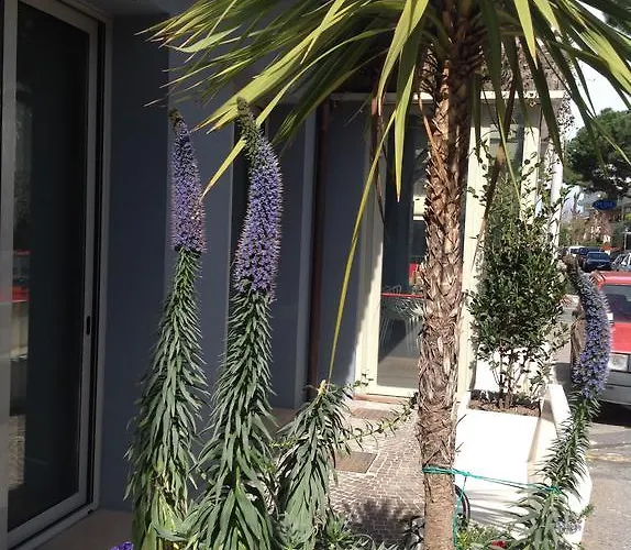 San Giorgio リッチョーネ